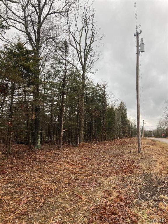 11050 County Road 2220 Rolla, MO 65401 - Photo 8 of 19