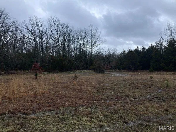 $95,000 | 11050 County Road 2220, Rolla, MO 65401