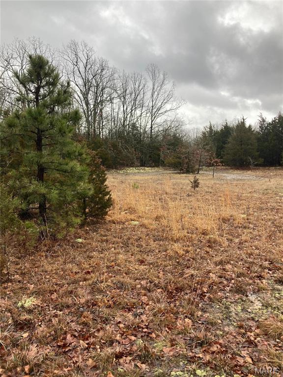 11050 County Road 2220 Rolla, MO 65401 - Photo 9 of 19