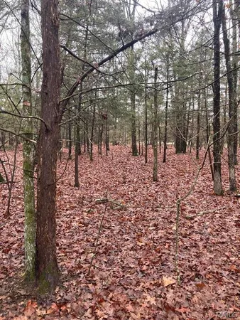 $95,000 | 11050 County Road 2220, Rolla, MO 65401