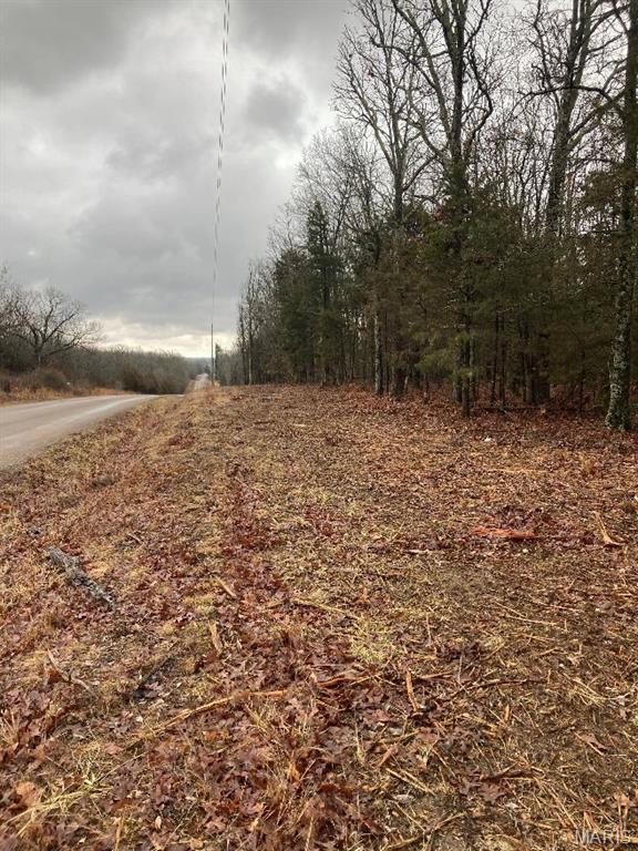 11050 County Road 2220 Rolla, MO 65401 - Photo 10 of 19