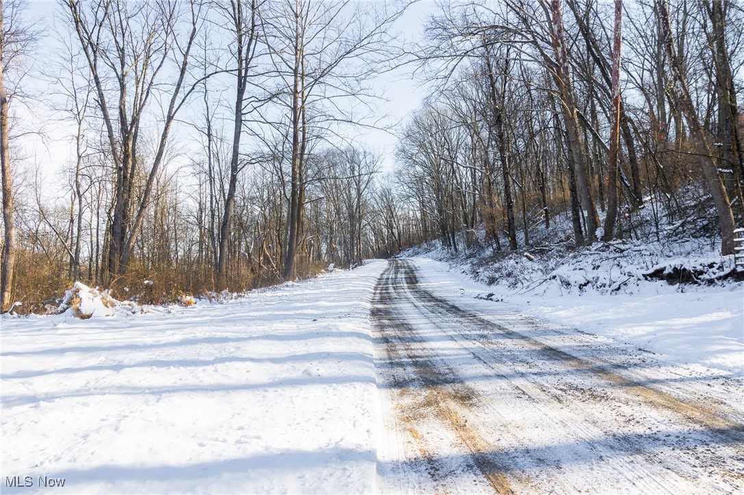 138 Township Road Coshocton, OH 43812 - Photo 13 of 47 View of road featuring a view of trees