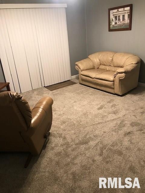 404 7th Street Christopher, IL 62822 - Photo 10 of 16 Gallery Image 10