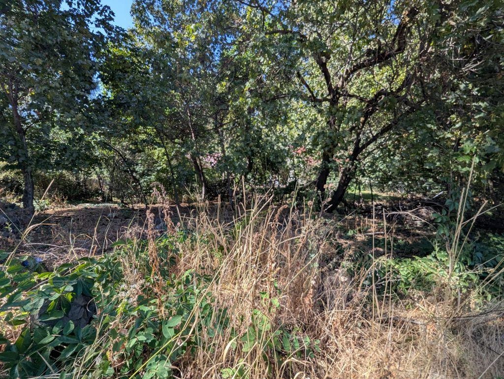 962 South Arthur Street Spokane, WA 99202 - Photo 2 of 5