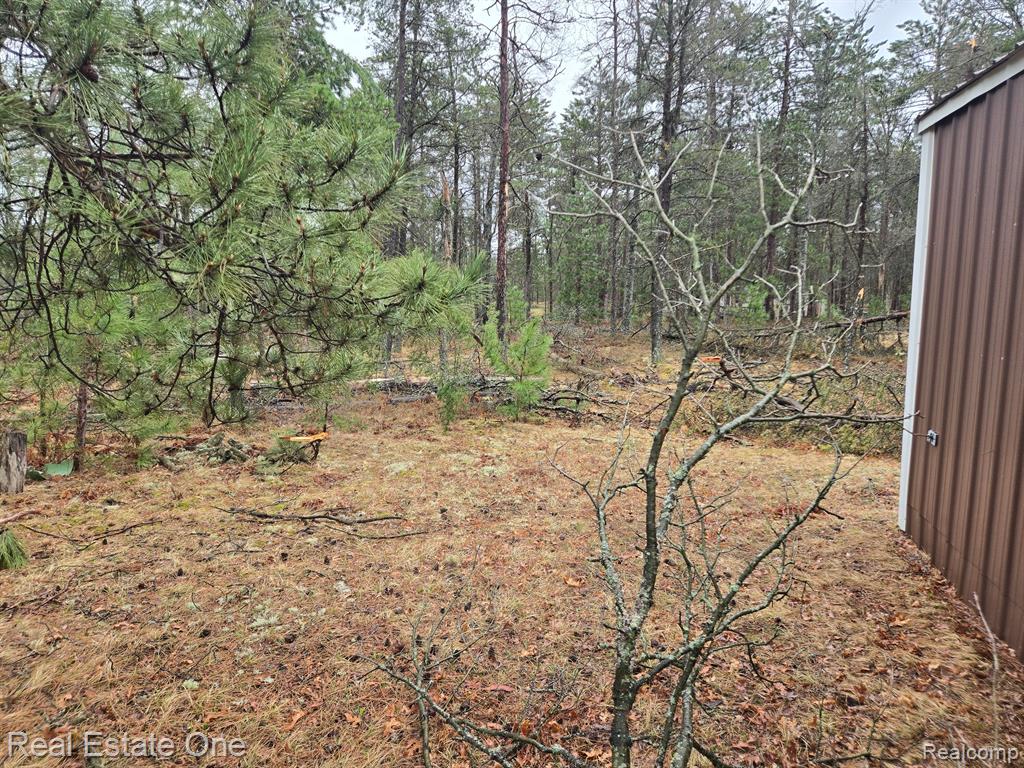 3774 South Stephan Bridge Road Grayling, MI 49738 - Photo 11 of 26 Gallery Image 11