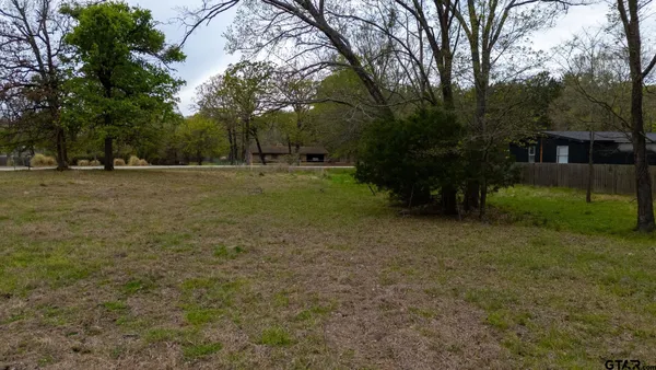 a view of a field with trees in the background