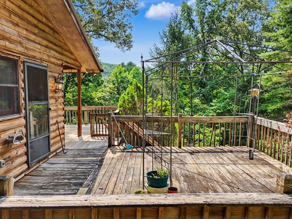 3477 Salem Road Mineral Bluff, GA 30559 - Photo 5 of 55