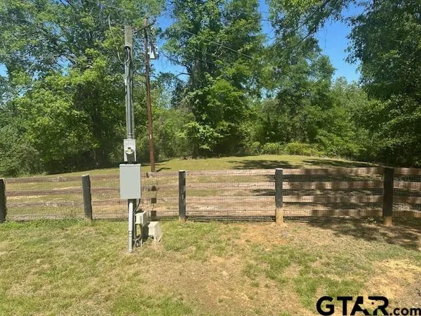 a view of yard