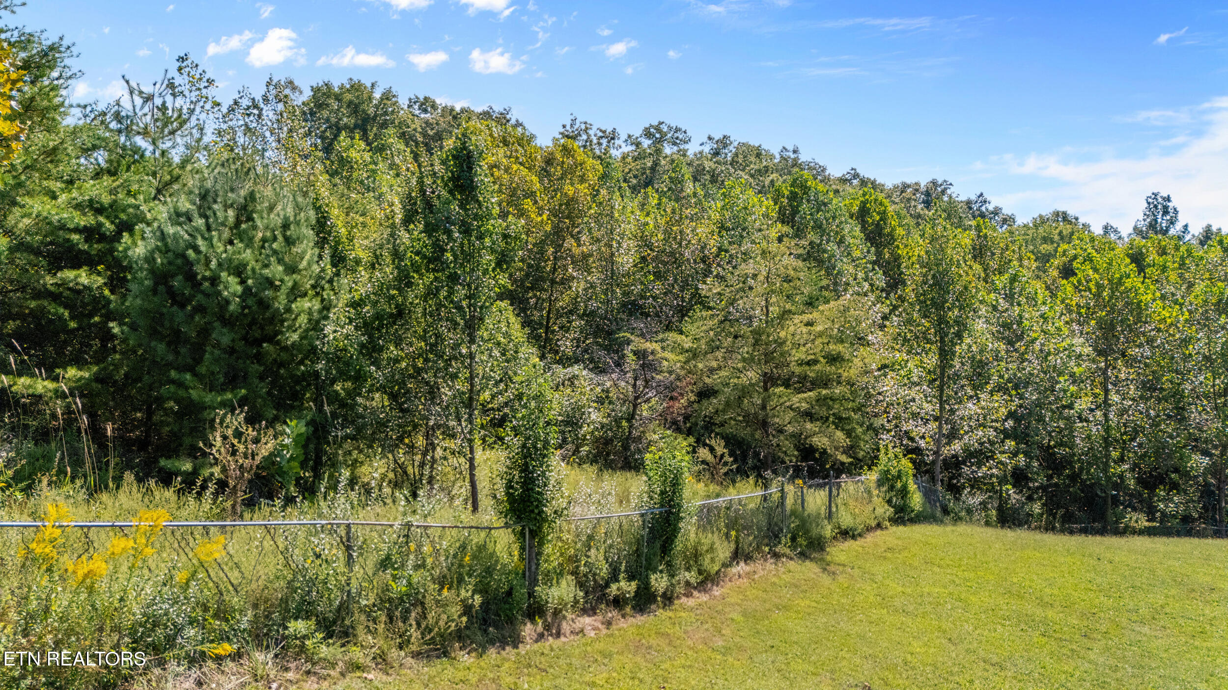 1803 Mountain View Road Robbins, TN 37852 - Photo 25 of 31 Wooded privacy