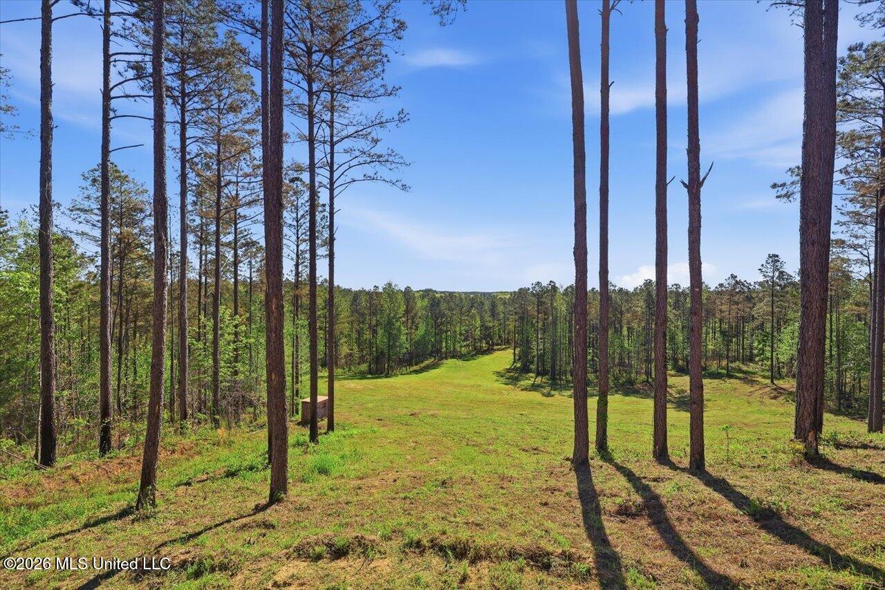 333 Beaverdam Road Camden, MS 39045 - Photo 11 of 93 13-333 Beaverdam Rd _ Home Tours MS
