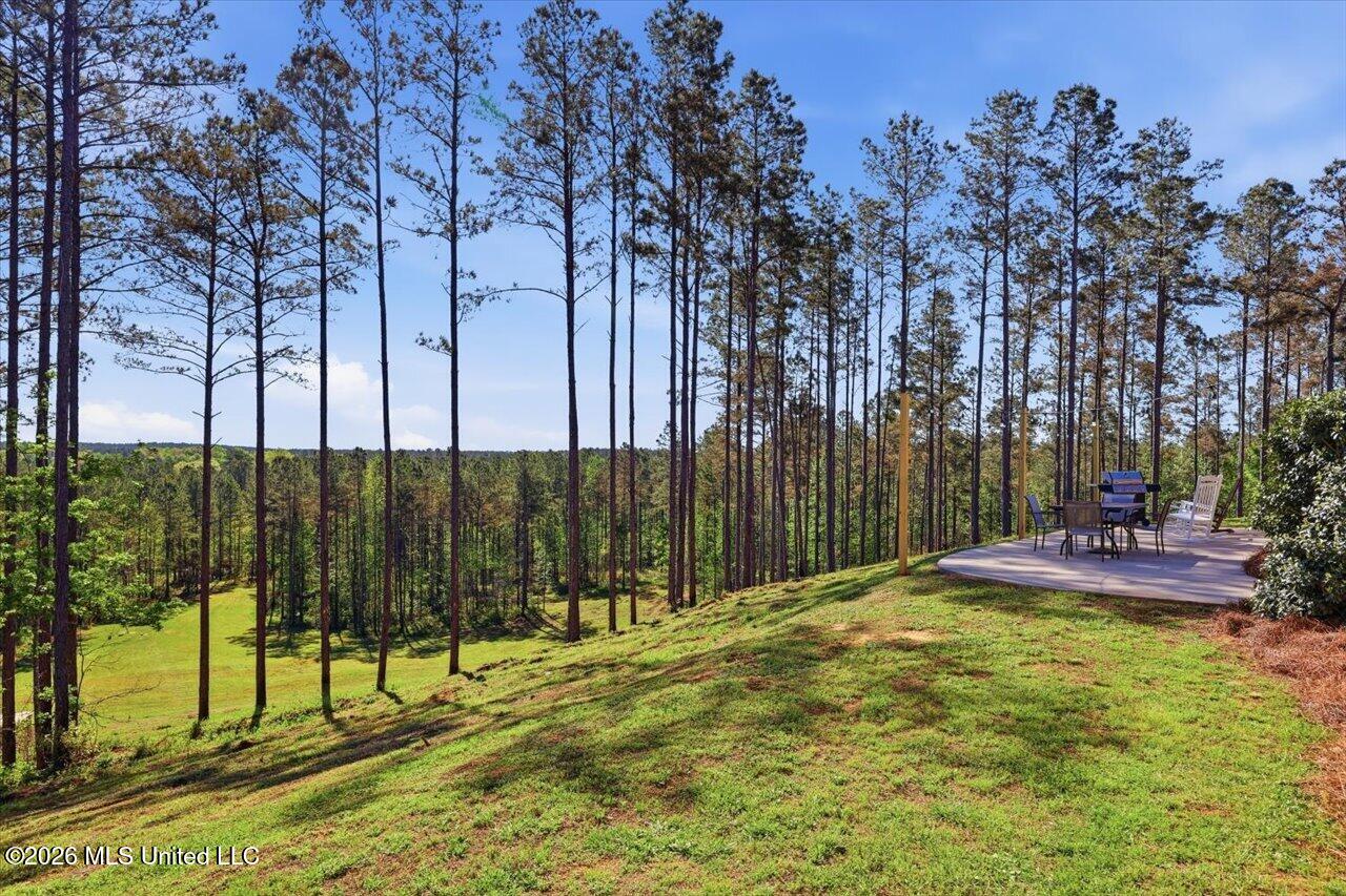 333 Beaverdam Road Camden, MS 39045 - Photo 14 of 93 16-333 Beaverdam Rd _ Home Tours MS