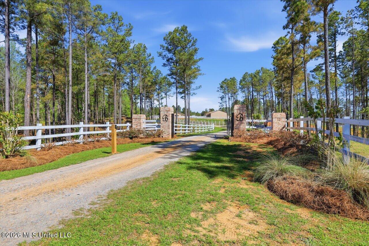 333 Beaverdam Road Camden, MS 39045 - Photo 3 of 93 03-333 Beaverdam Rd _ Home Tours MS