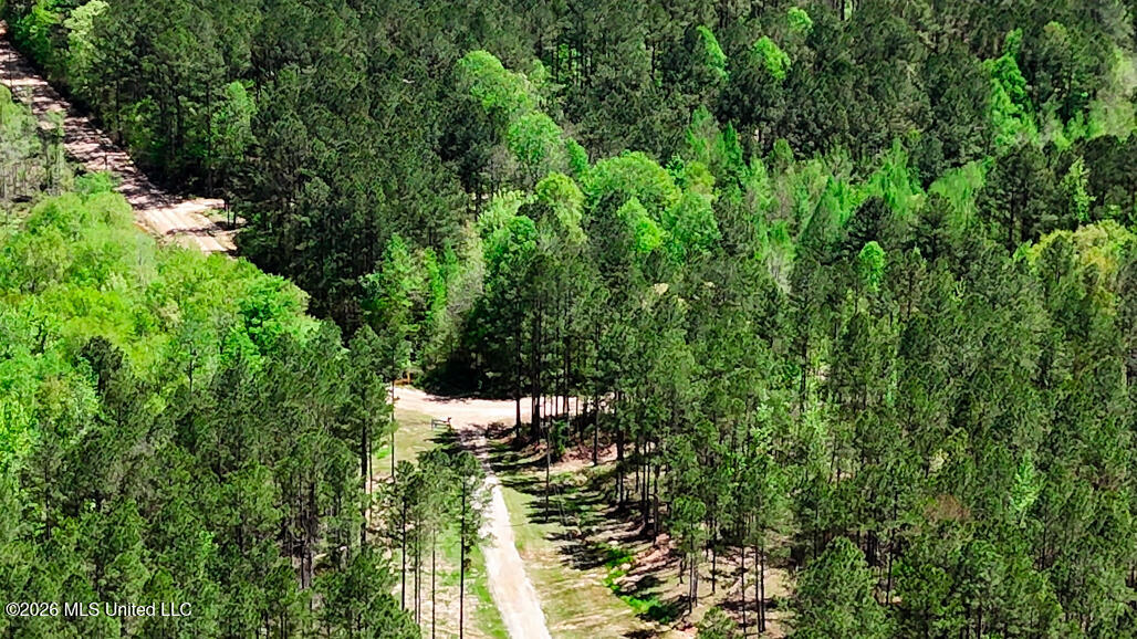 333 Beaverdam Road Camden, MS 39045 - Photo 66 of 93 Aerial-12