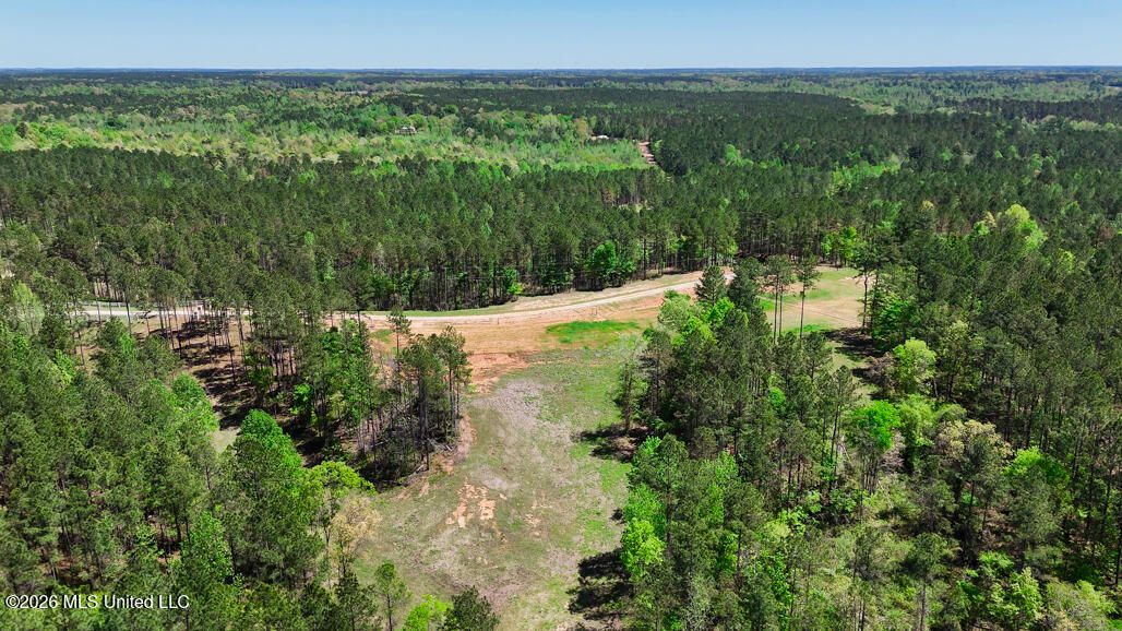 333 Beaverdam Road Camden, MS 39045 - Photo 73 of 93 Aerial-16
