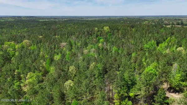 $2,175,000 | 333 Beaverdam Road, Camden, MS 39045