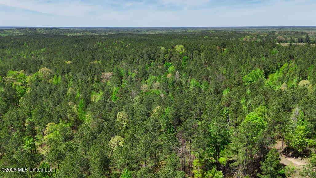 333 Beaverdam Road Camden, MS 39045 - Photo 74 of 93 Aerial-15