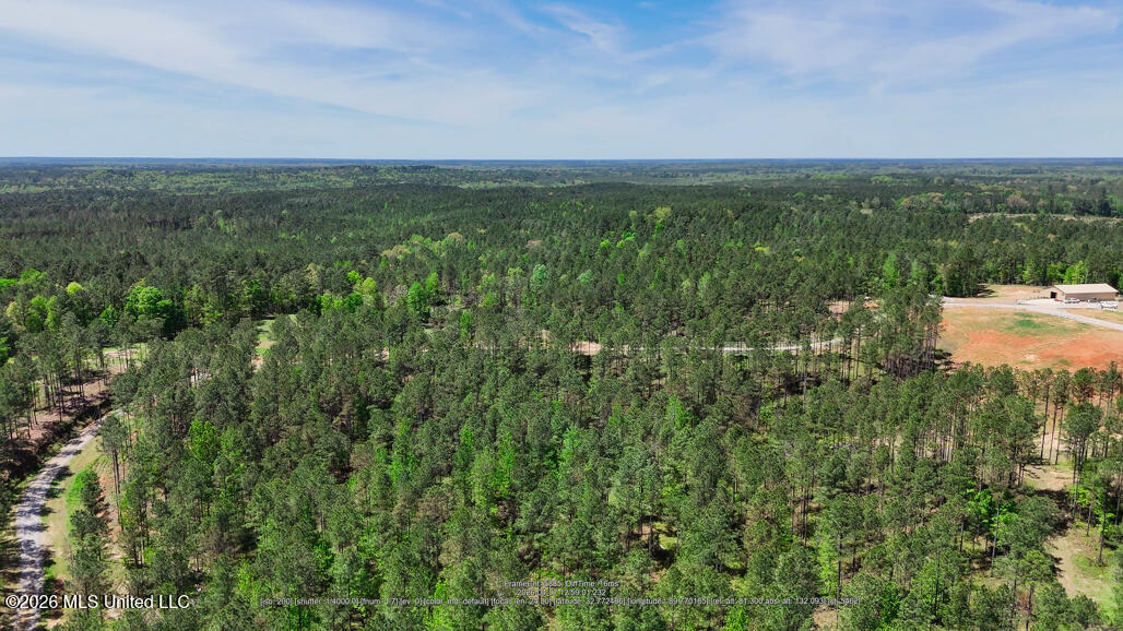 333 Beaverdam Road Camden, MS 39045 - Photo 75 of 93 Aerial-14
