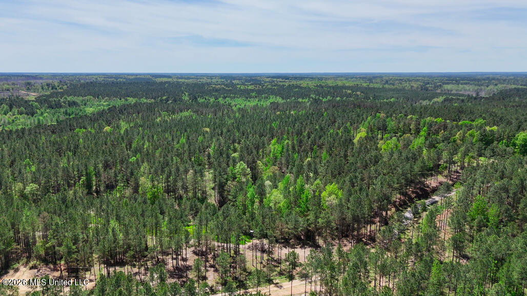 333 Beaverdam Road Camden, MS 39045 - Photo 76 of 93 Aerial-13