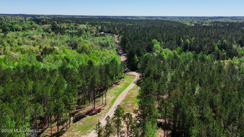 333 Beaverdam Road Camden, MS 39045 - Photo 79 of 93 Aerial-9