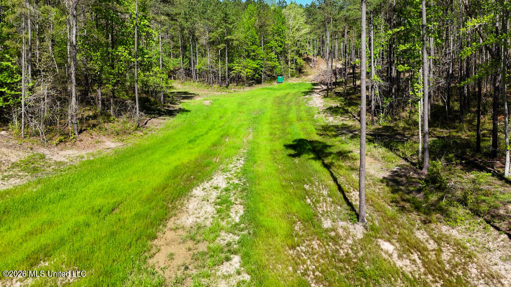 333 Beaverdam Road Camden, MS 39045 - Photo 80 of 93 Aerial-8