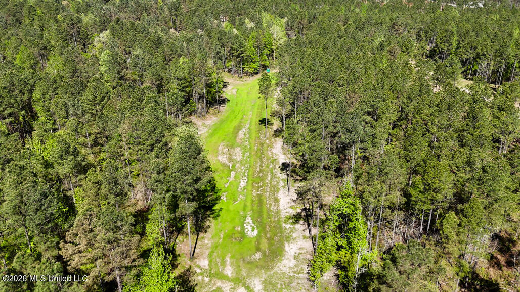 333 Beaverdam Road Camden, MS 39045 - Photo 81 of 93 Aerial-7