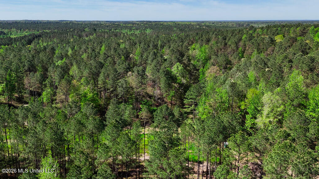 333 Beaverdam Road Camden, MS 39045 - Photo 82 of 93 Aerial-6
