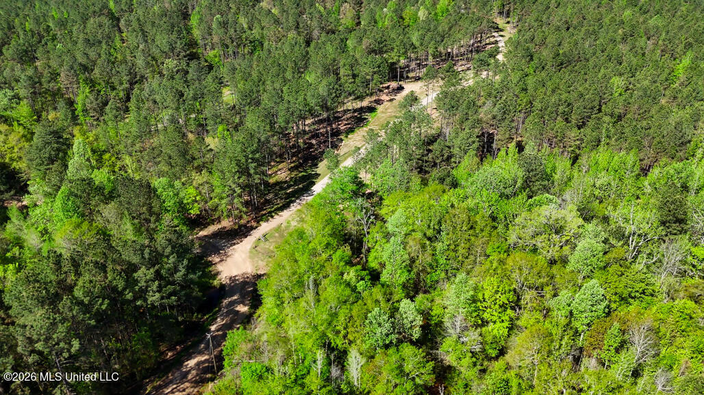 333 Beaverdam Road Camden, MS 39045 - Photo 83 of 93 Aerial-5