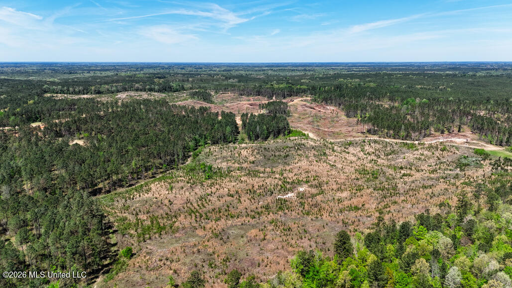 333 Beaverdam Road Camden, MS 39045 - Photo 86 of 93 Aerial-2
