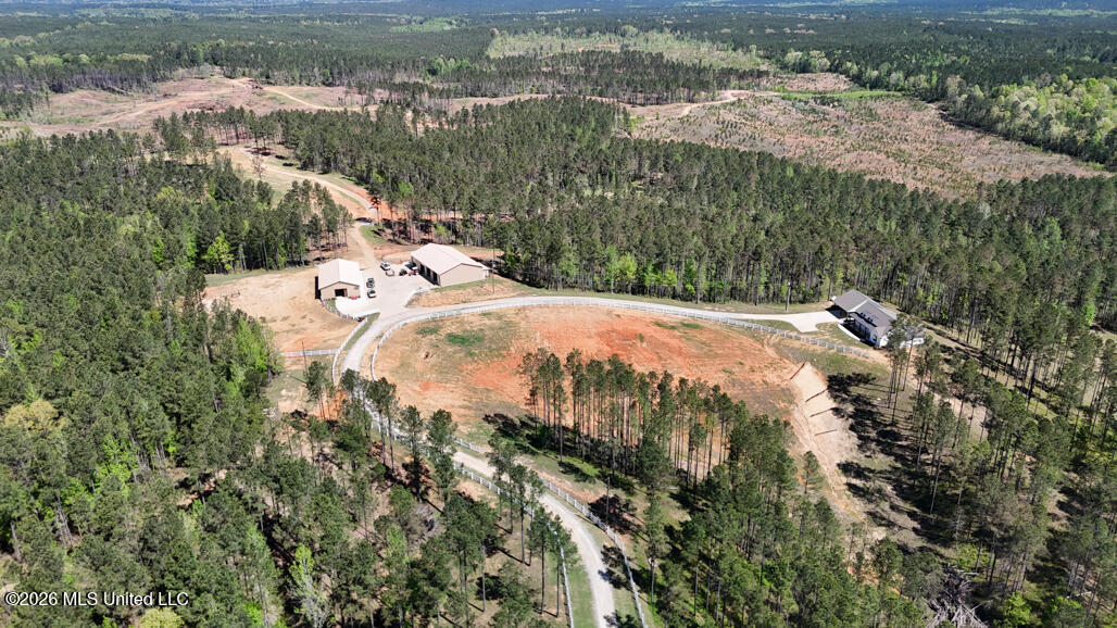 333 Beaverdam Road Camden, MS 39045 - Photo 87 of 93 Aerial-1
