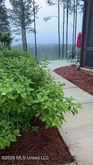 333 Beaverdam Road Camden, MS 39045 - Photo 88 of 93 IMG_0398