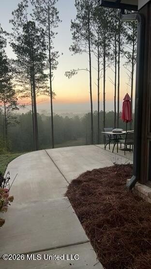 333 Beaverdam Road Camden, MS 39045 - Photo 90 of 93 IMG_2498