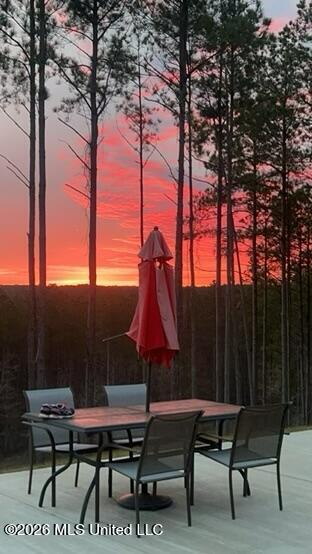 333 Beaverdam Road Camden, MS 39045 - Photo 92 of 93 IMG_3670