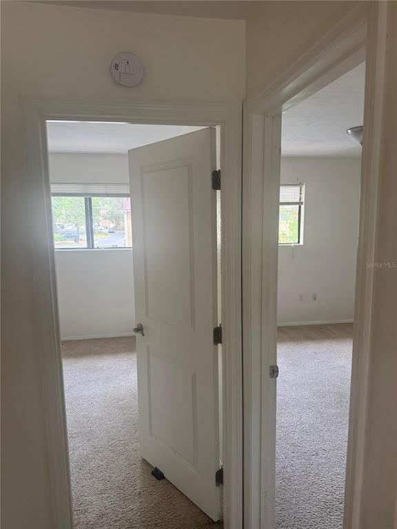 507 Northwest 39th Road, Unit 315 Gainesville, FL 32607 - Photo 8 of 14