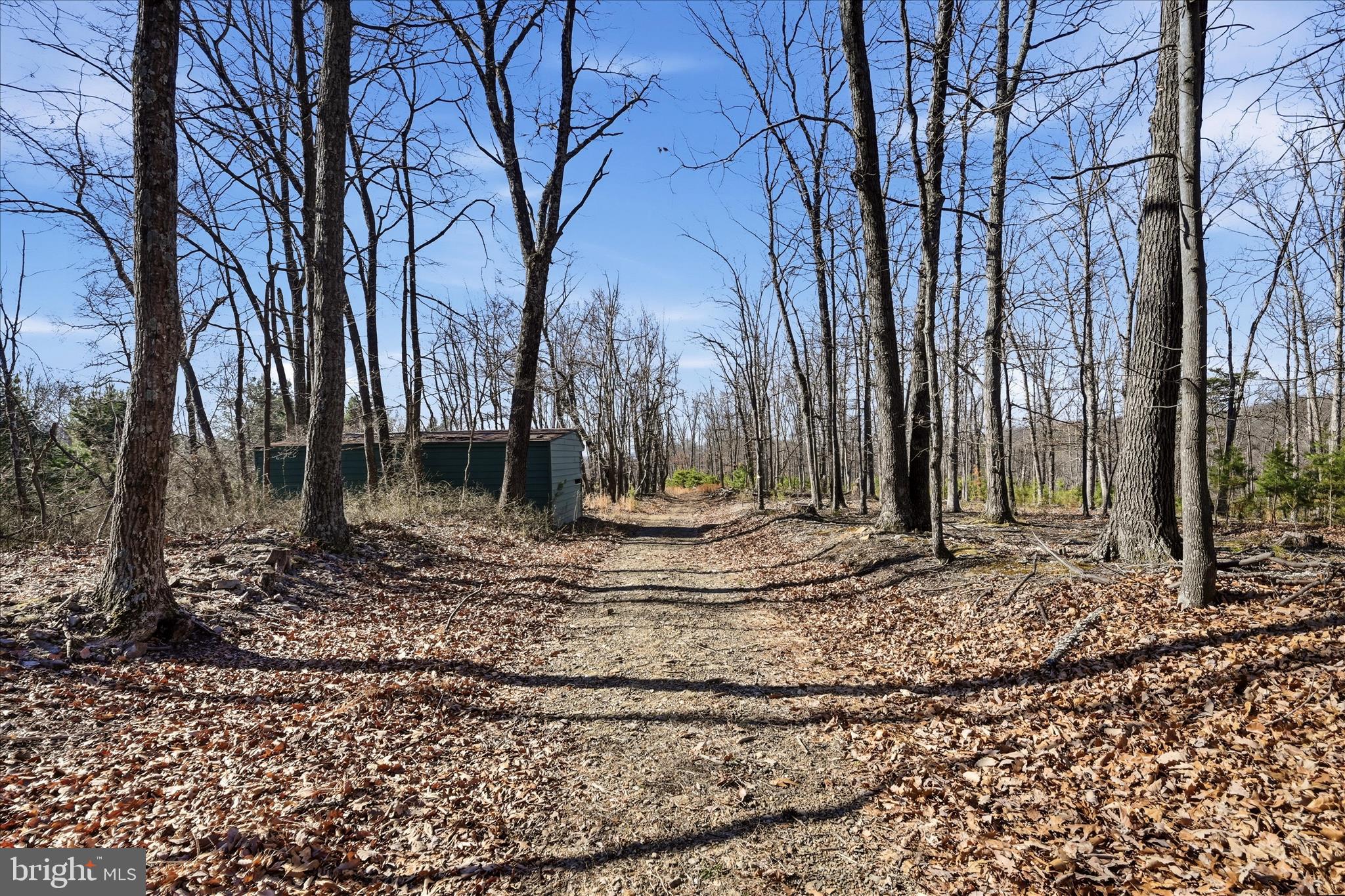 2280 Pine Grove Road Berkeley Springs, WV 25411 - Photo 47 of 59 a view of a yard with a tree