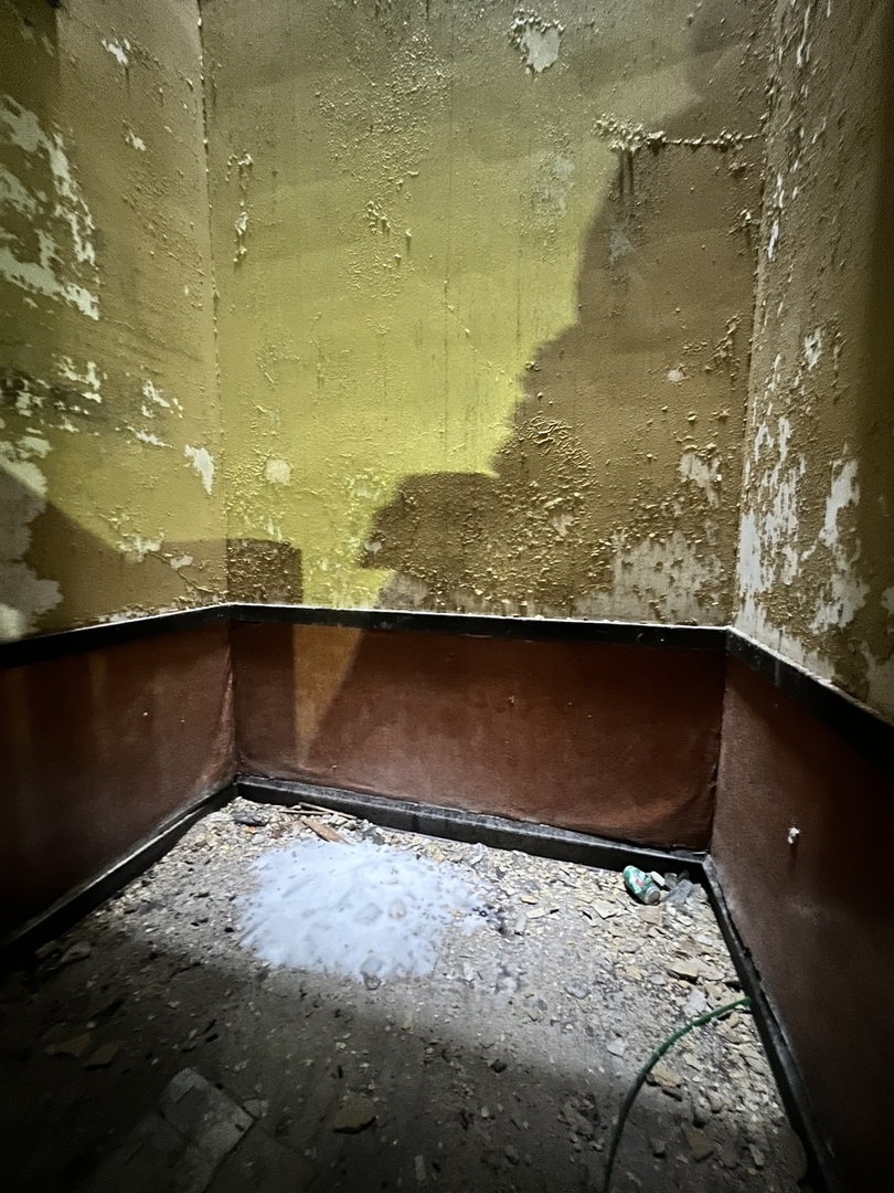 3827 West Fillmore Street Chicago, IL 60624 - Photo 19 of 23