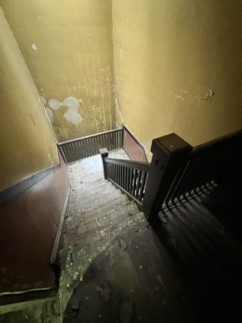 3827 West Fillmore Street Chicago, IL 60624 - Photo 4 of 23 a view of balcony