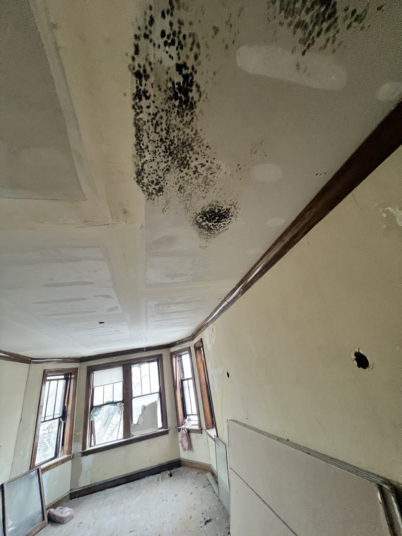 3827 West Fillmore Street Chicago, IL 60624 - Photo 9 of 23 a view of an empty room