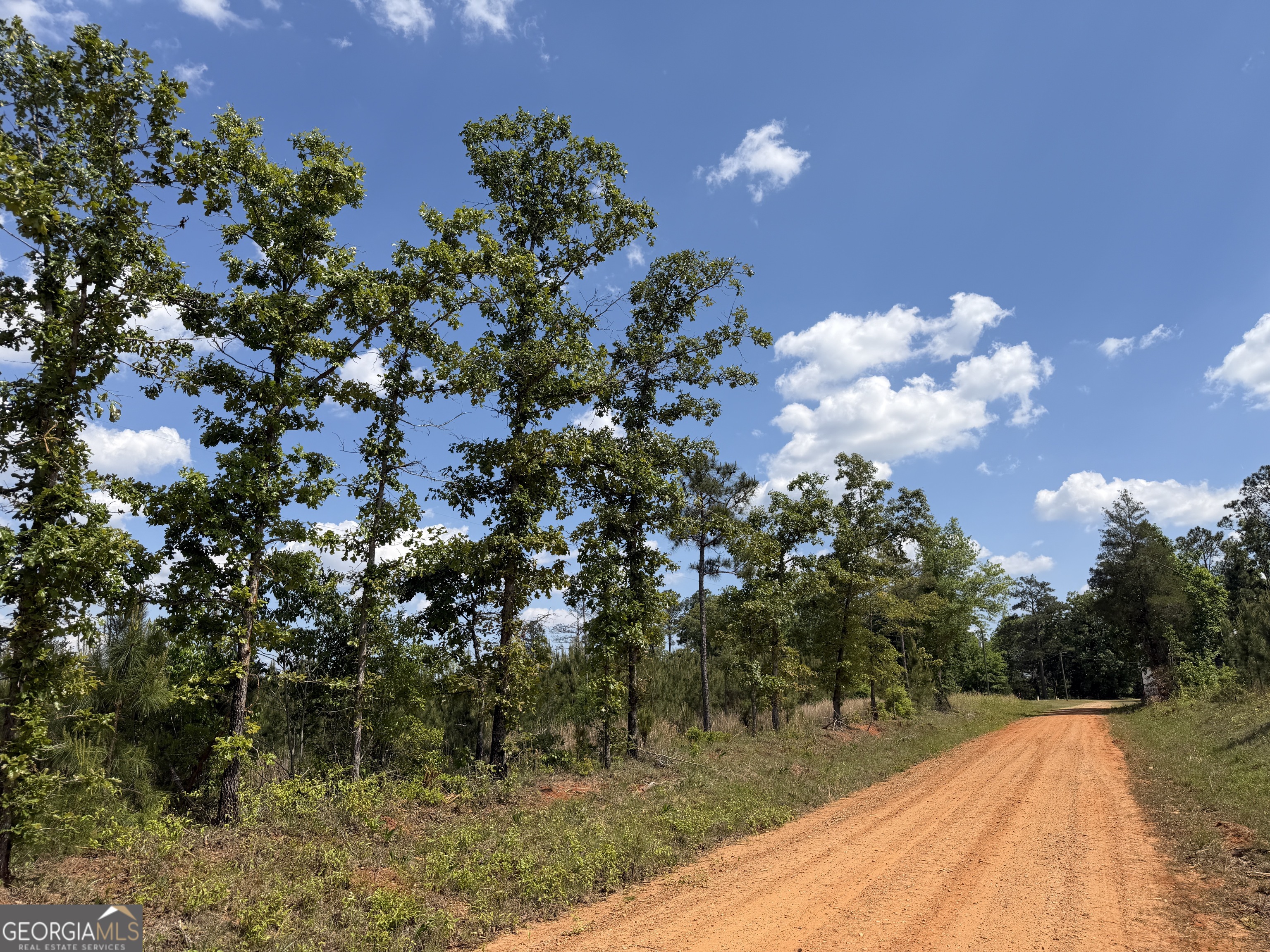14 George Milling Road Cuthbert, GA 39840 - Photo 10 of 12 a view of a yard