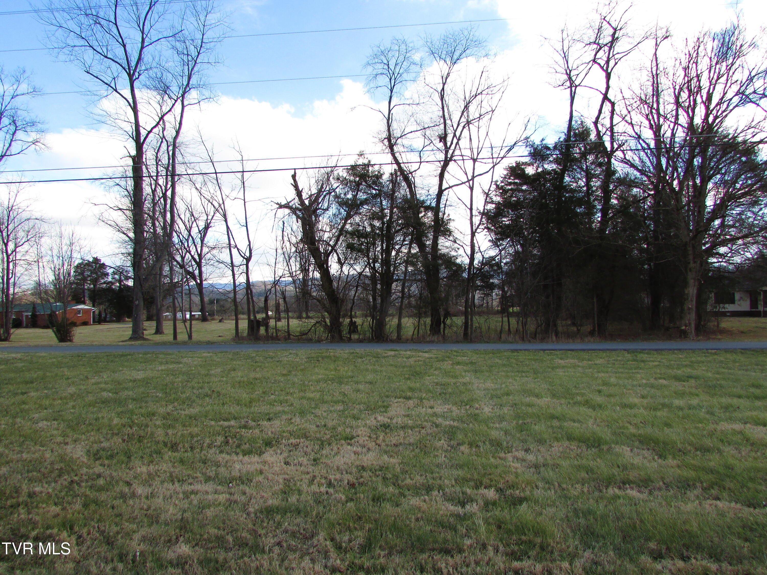 Tbd East El Bowers Road Elizabethton, TN 37643 - Photo 8 of 16 IMG_3415