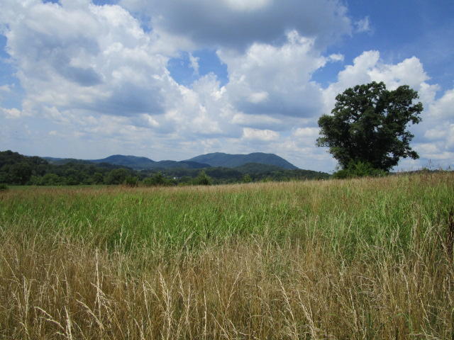 5929 Rutledge Pike Rutledge, TN 37861 - Photo 1 of 4 IMG_0788
