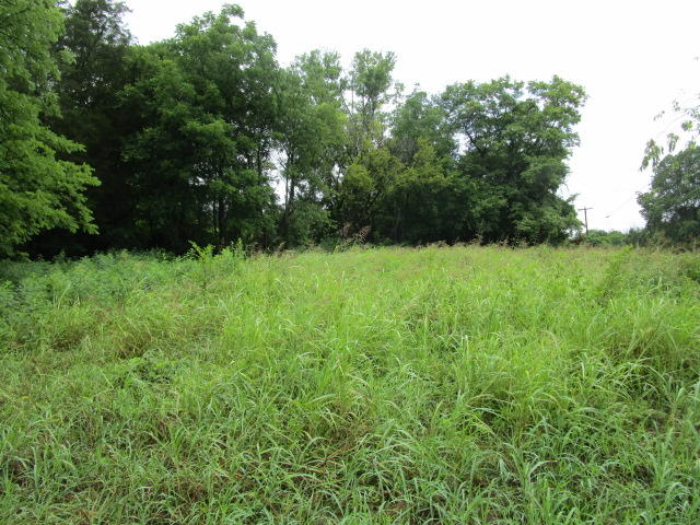 5929 Rutledge Pike Rutledge, TN 37861 - Photo 4 of 4 IMG_0801