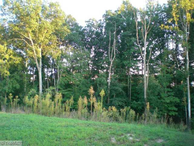 879 Jennifer Lane High Point, NC 27265 - Photo 2 of 11 Exterior Back. Backs to Beautiful Woods!