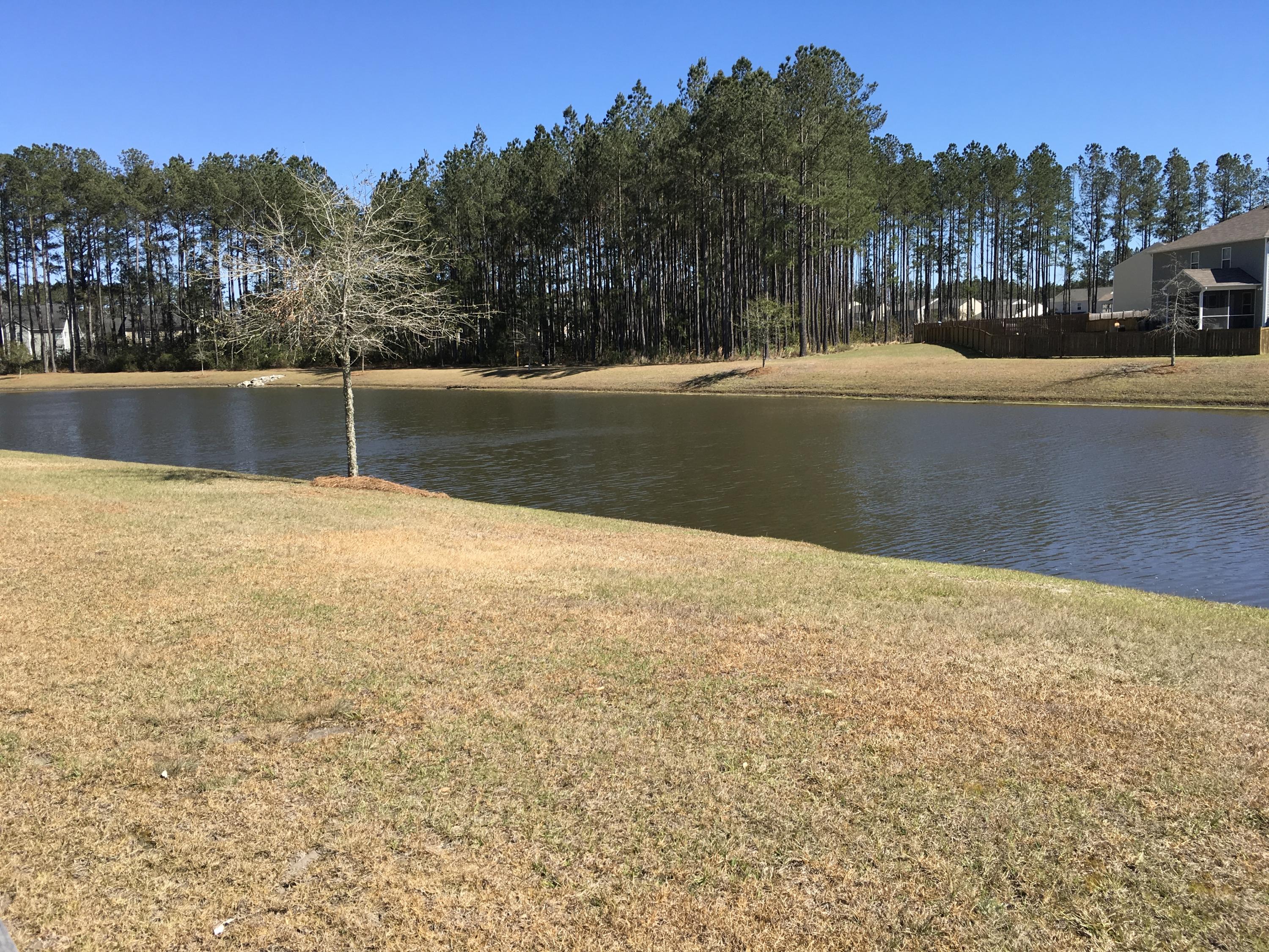 410 Decatur Drive Summerville, SC 29486 - Photo 31 of 40 Pond in Back