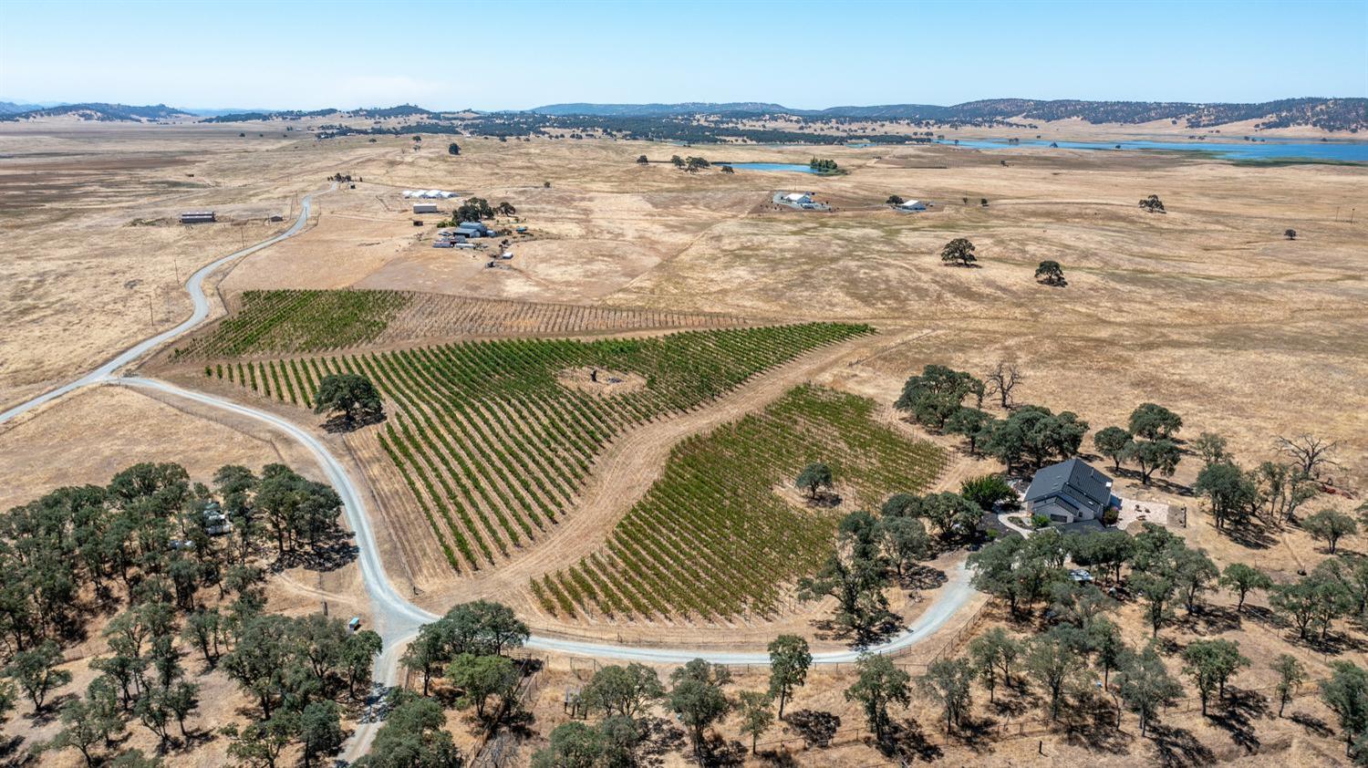 12550 Hogan Dam Road Farmington, CA 95230 - Photo 4 of 75