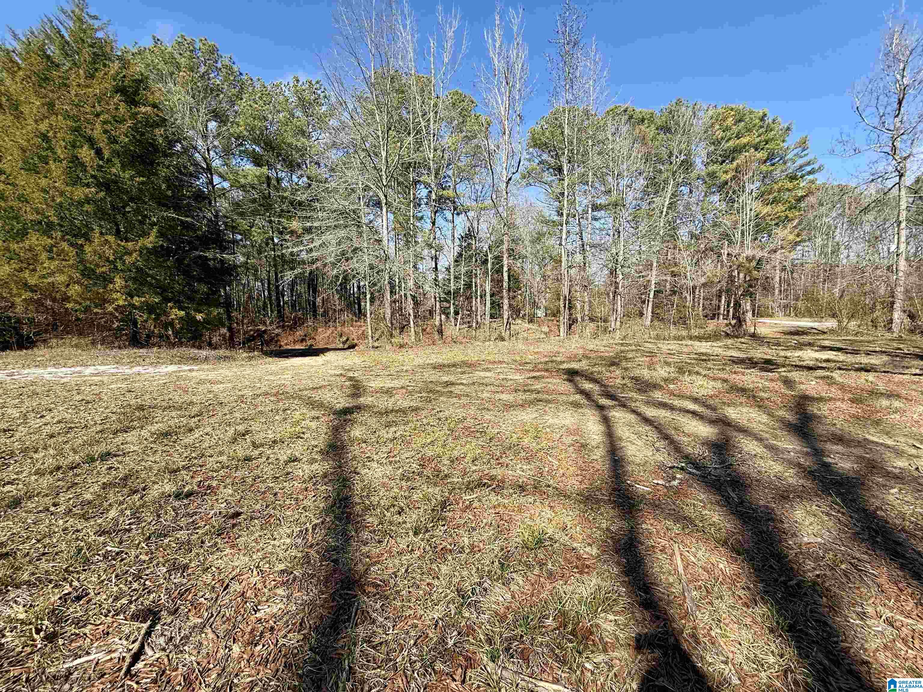 2161 Odens Mill Road Sylacauga, AL 35151 - Photo 14 of 17 Gallery Image 14