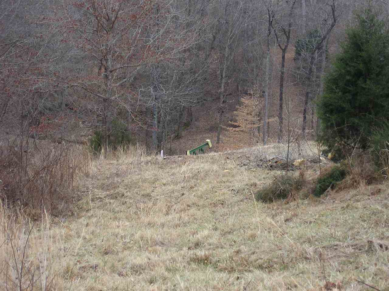0 Barren River Road Morgantown, KY 42261 - Photo 15 of 17 Gallery Image 15