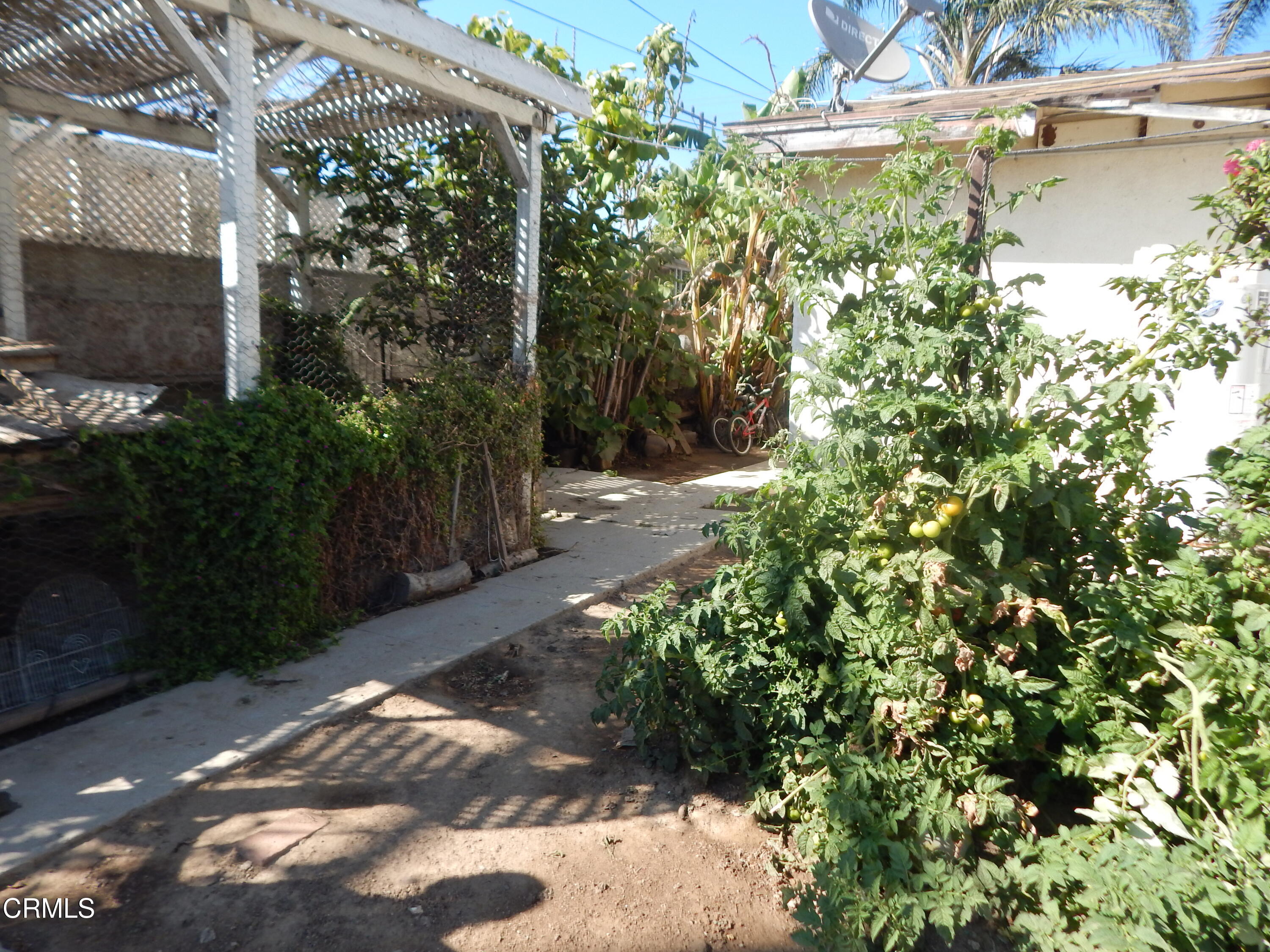 2746 Friedrich Road Oxnard, CA 93036 - Photo 26 of 36 a backyard of a house with lots of green space