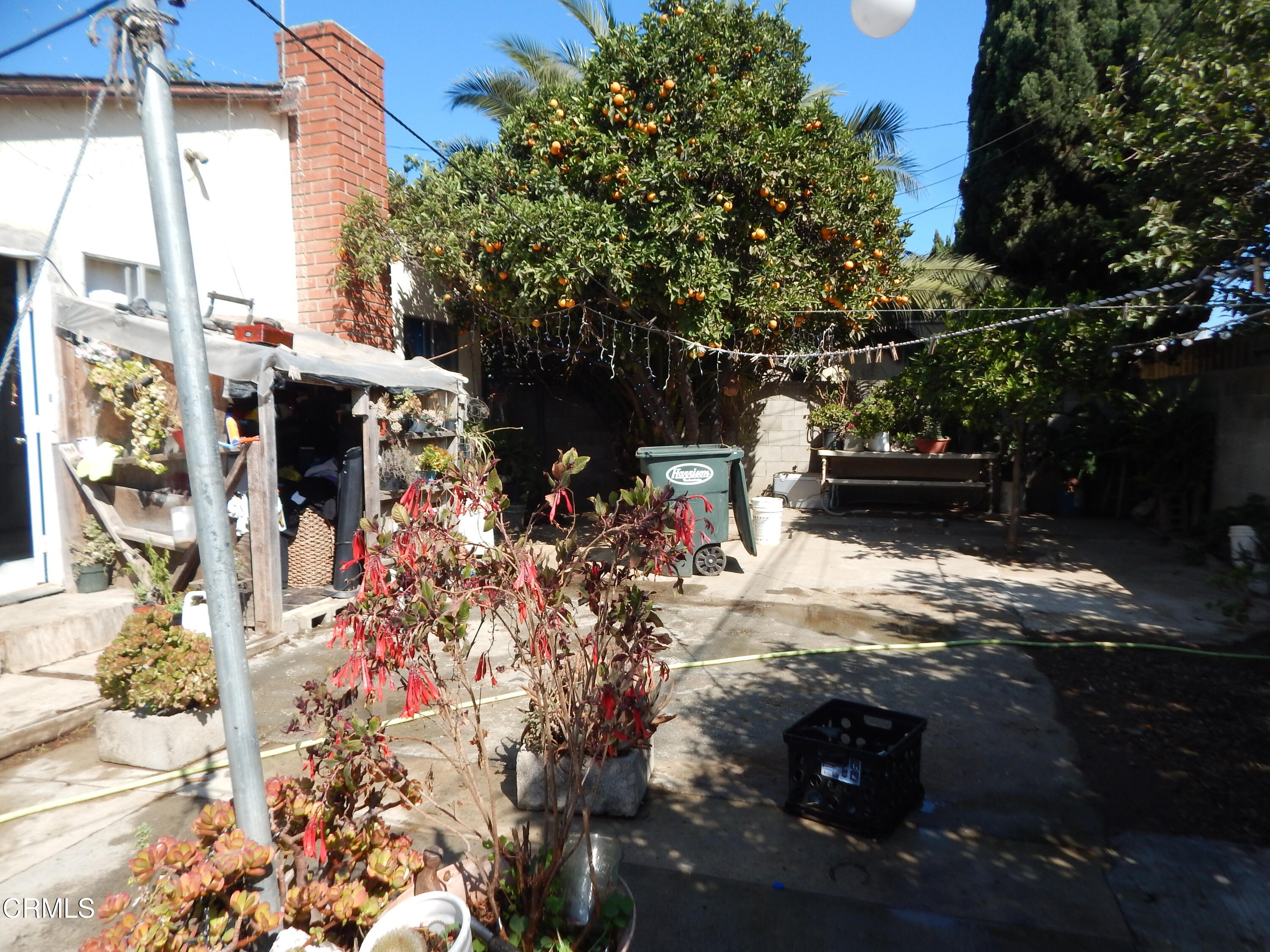 2746 Friedrich Road Oxnard, CA 93036 - Photo 28 of 36 a view of outdoor space and garden