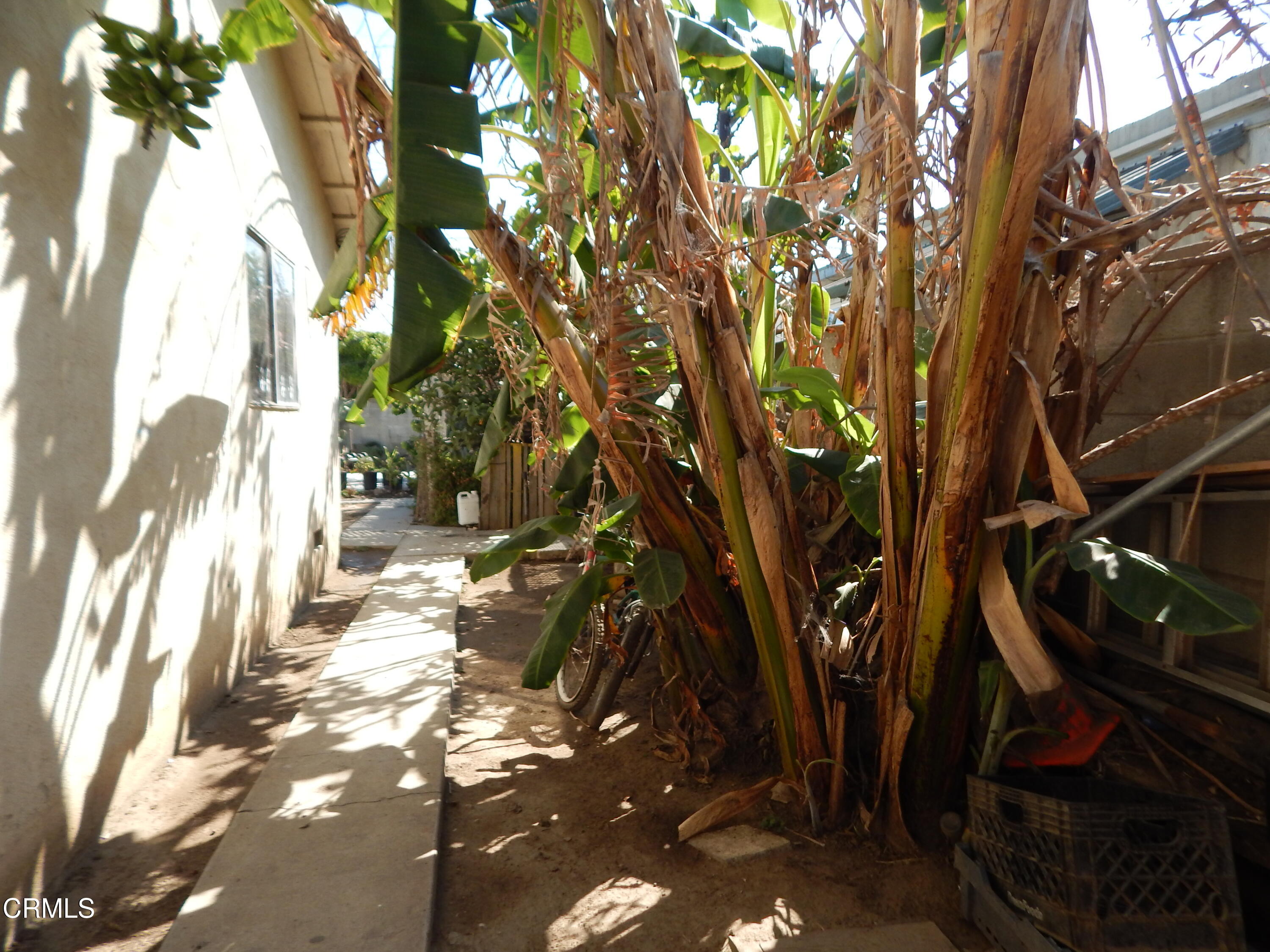 2746 Friedrich Road Oxnard, CA 93036 - Photo 30 of 36 a backyard of a house with lots of green space and fountain