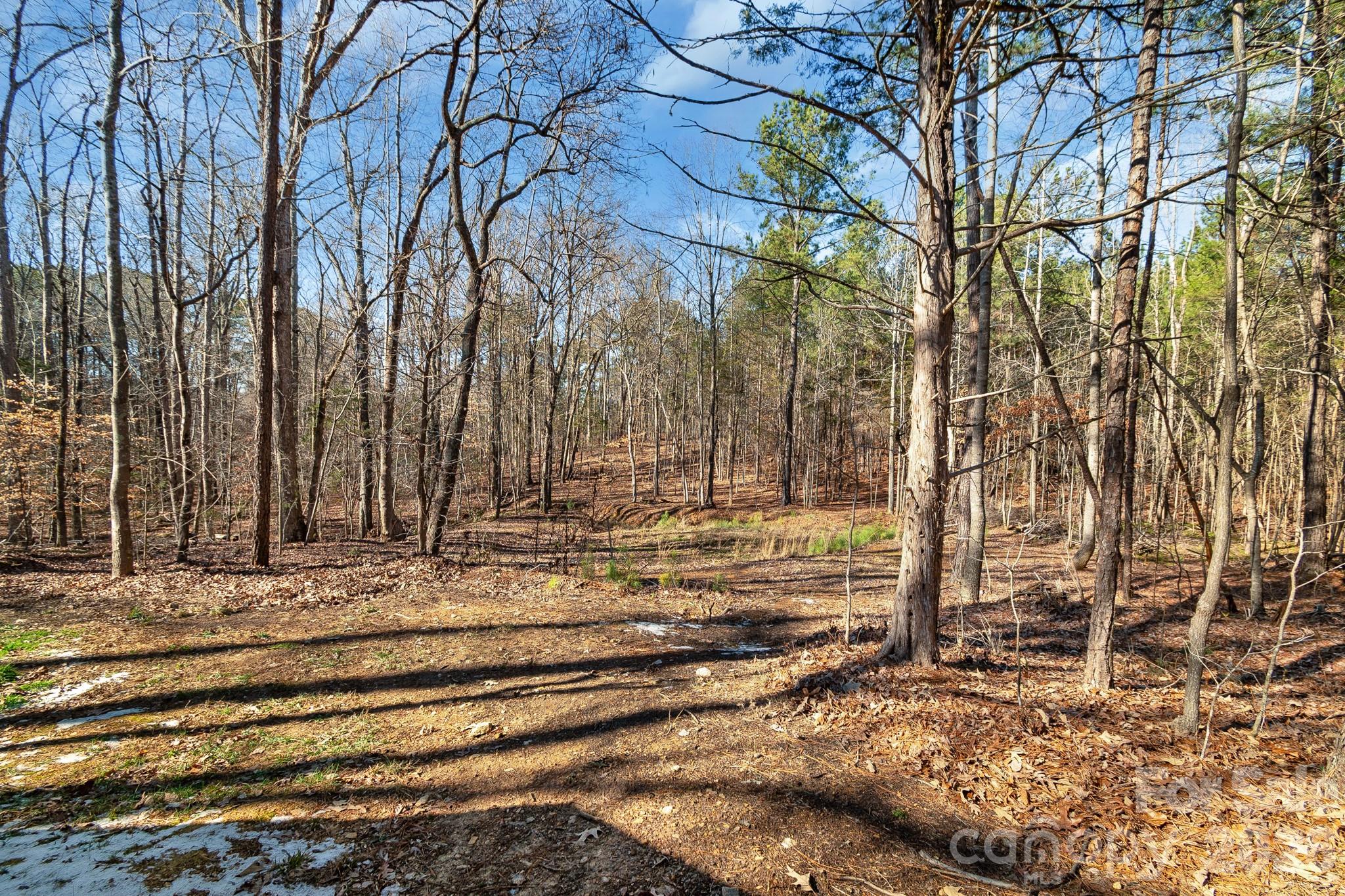 619 Hubbard Drive Lancaster, SC 29720 - Photo 44 of 47